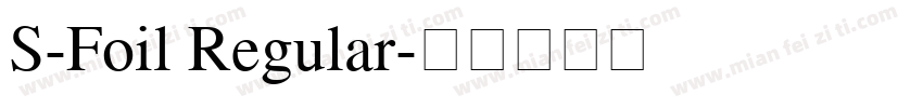 S-Foil Regular字体转换